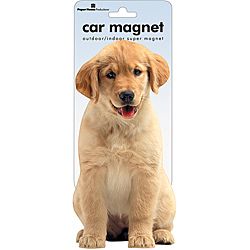 Paper House Golden Retriever Puppy Car Magnet