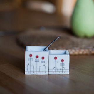 ceramic salt and pepper pots by sue candy ceramics