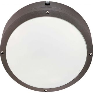 Hudson 2 Light Architectural Bronze With White Lexan Round Wall / Ceiling Fixture