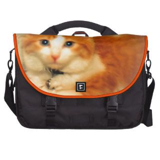 Little Orange Kitten Laptop Commuter Bag