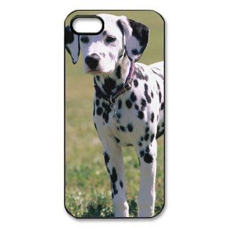 Dalmatian Puppy Dog Wallpaper iPhone 5 Case Back Case for iphone 5 Cell Phones & Accessories