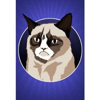 (13x19) Grumpy Cat Cartoon Poster   Prints