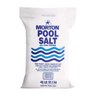 Morton 40 lbs Pool Salt