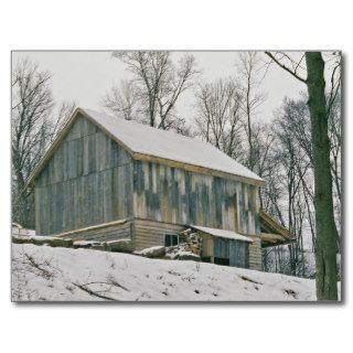 Amish Barn Postcard