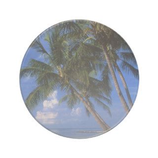 Beautiful Blue Key West Beach And Palm Tree Drink Coaster