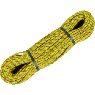 Edelweiss Curve ARC 9.8mm Climbing Rope