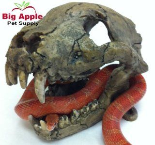 Sumatran Rat Monkey Skull Reptile Hideout  Pet Habitat Decor Hideouts 