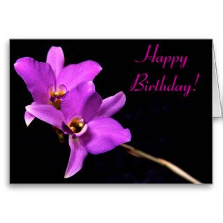 Beautiful Orchid Happy Birthday Card