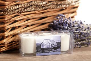 citronella candles by patchwork harmony