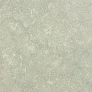 10 Pack 12 in x 12 in Seagrass Honed Natural Limestone Floor Tile