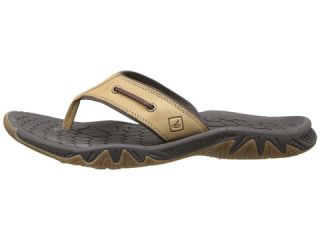 Sperry Top Sider SON R Pulse Thong Dark Brown