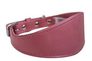 Leather Padded Hound Dog Collar. 18" x 2.25", Bubblegum Pink  Pet Collars 