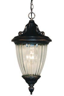 Z Lite 504M CH BS Waterloo Outdoor Chain Light, Aluminum Frame, Black Finish and Ribbed Semi Clear Shade of Glass Material   Ceiling Pendant Fixtures  