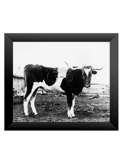 Bevo (Framed) by Lulu Press