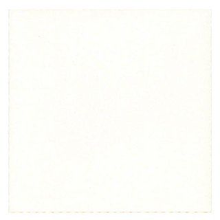 Pearl White Stardream Metallic Square 5 1/2 x 5 1/2 (5.5x5.5) Blank Note Cards   20 per pack  Cardstock Papers 