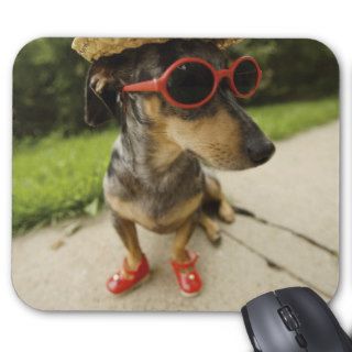 "dachshund w/hat glasses poster print" mousepad