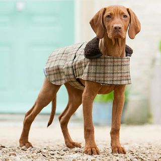 balmoral tweed dog coat by mutts & hounds