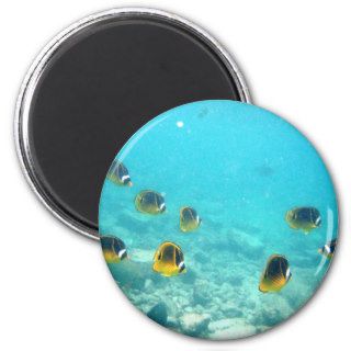 Tropical Hawaiian Underwater Fish Magnet