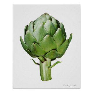 Globe Artichoke on White Background Cut Out Posters