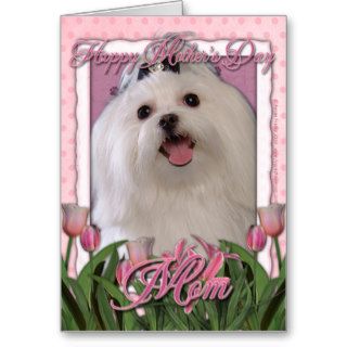 Mothers Day   Pink Tulips   Maltese Cards