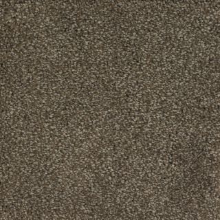 Dixie Group Trusoft Shafer Valley 104 Brown Cut Pile Indoor Carpet