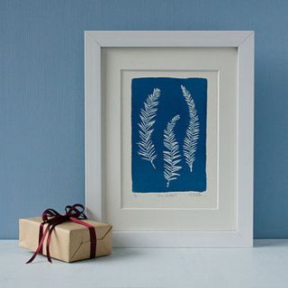 fern studies two fine art print by hunt and gather design
