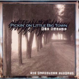 Pickin on Little Big Town The Bluegrass Tribute