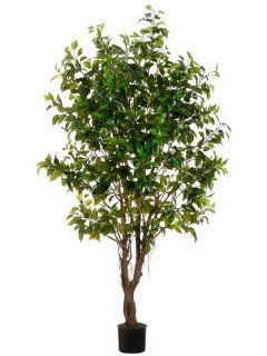Allstate Floral & Craft Outdoor Ficus Tree, 6 Feet, Green   Artificial Trees
