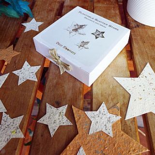 plantable scatter stars by plant a bloomer