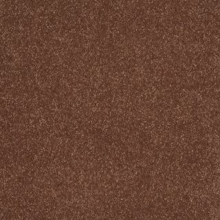 STAINMASTER Trusoft Luscious II Tuscany Textured Indoor Carpet
