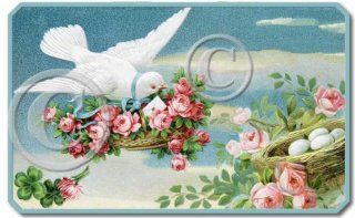 Shop Item 2211 Sign Victorian Dove Pink Shabby Cottage Roses Plaque at the  Home Dcor Store