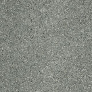 STAINMASTER Trusoft Luscious IV Spa Textured Indoor Carpet