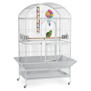 Signature Series Dome Top Large Bird Cage