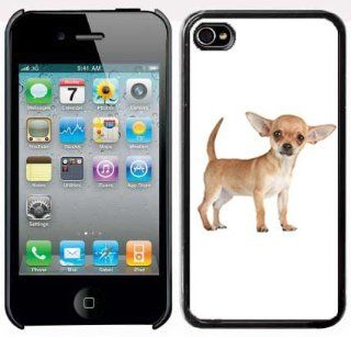Apple iPhone 5 5S Black 5B120 Hard Back Case Cover Color Cute Light Brown Chihuahua Puppy Dog Cell Phones & Accessories