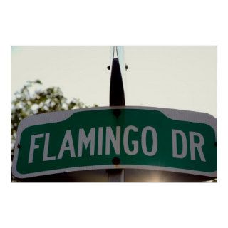 Flamingo Drive Print