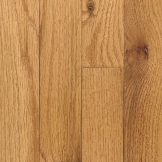 allen + roth 3 in W Prefinished Oak 3/4 in Solid Hardwood Flooring (Butterscotch Oak)