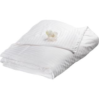 Aus Vio Aus Vio Luxurious Mulberry Silk Comforter Off White Size Full