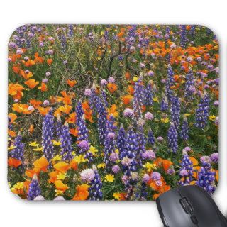 USA, California, Gorman. Field of poppies and Mouse Pad