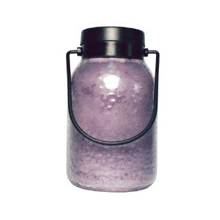 A Cheerful Giver Lavender Vanilla Simplicity Lantern Jar Candle, 16 Ounce   Landscape Torch Lights