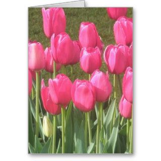 Bright Pink Tulip Garden Card