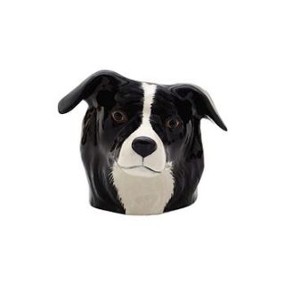 border collie egg cup by berylune