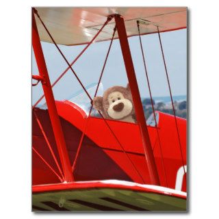 Flying Teddy Bear Postcard