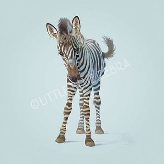 illustrated zebra print by little blue zebra