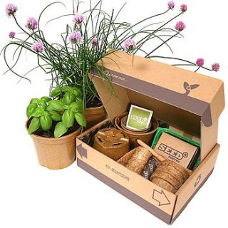 herb seeds starter pack by seed pantry