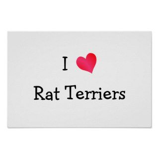 I Love Rat Terriers Poster