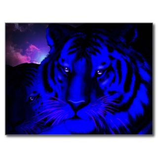 Electric Blue Tiger Post Card
