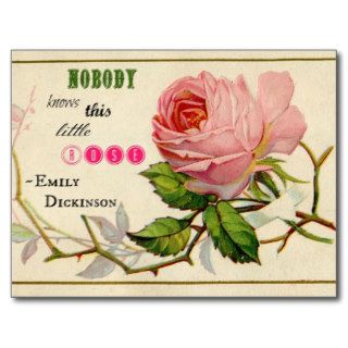 Vintage Shabby Pink Rose Postcard