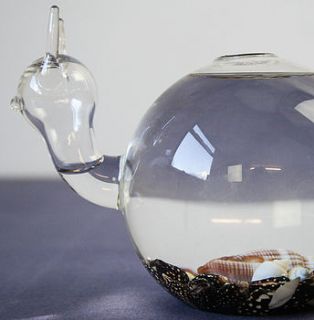 handblown glass snail vase terrarium by bonnie and bell