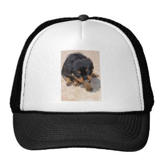 Cute and Fluffy Rottweiler Puppy Mesh Hats