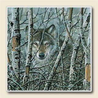 Absorbent Stone Coaster Box Set of 4 Wolf Face with Birch Trees Kitchen & Dining